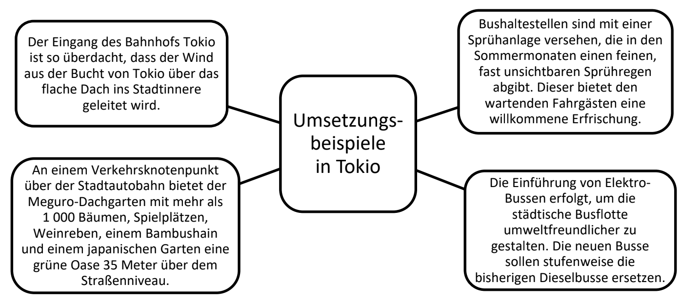 Diagramm: Umsetzungsbeispiele in Tokio mit vier Bereichen zu Bahnhof, Dachgarten, Elektrobusse und Sprühanlage